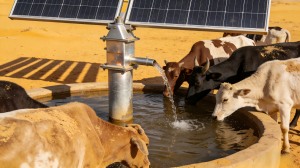 African farm solar panels