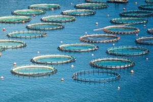 Aquaculture