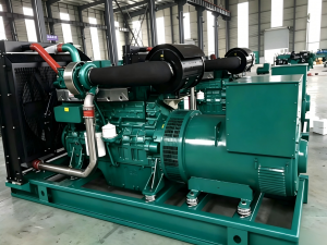 Diesel Generator for Cold Storage