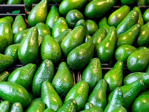 Specific Applications of Cold Storage